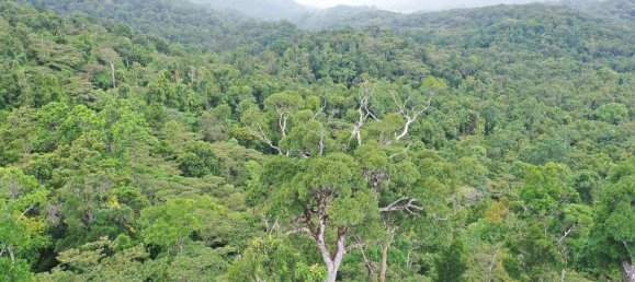 Земельный участок 602600м² в Ellinjaa, Австралия № 890 21