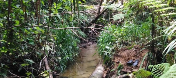 Земельный участок 602600м² в Ellinjaa, Австралия № 890 6