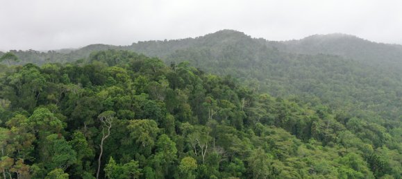 Земельный участок 602600м² в Ellinjaa, Австралия № 890 28