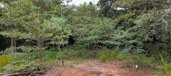 Земельный участок 602600м² в Ellinjaa, Австралия № 890 9