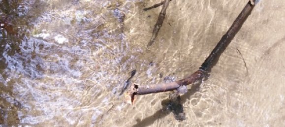 Земельный участок 602600м² в Ellinjaa, Австралия № 890 12