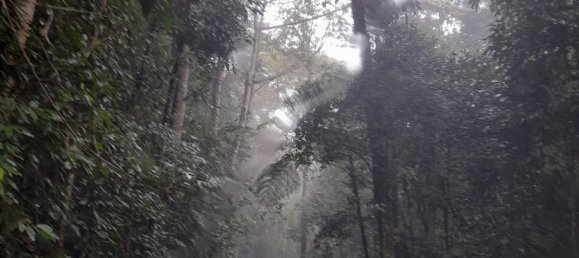 Земельный участок 602600м² в Ellinjaa, Австралия № 890 3