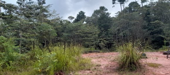 Земельный участок 602600м² в Ellinjaa, Австралия № 890 8