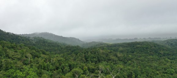 Земельный участок 602600м² в Ellinjaa, Австралия № 890 20