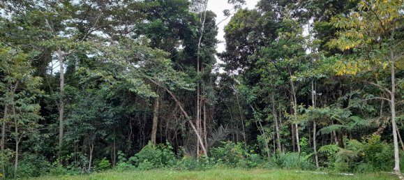 Земельный участок 602600м² в Ellinjaa, Австралия № 890 14