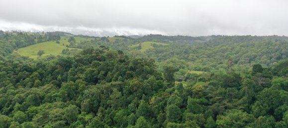 Земельный участок 602600м² в Ellinjaa, Австралия № 890 29