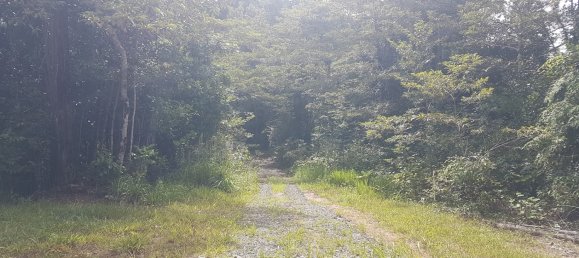 Земельный участок 602600м² в Ellinjaa, Австралия № 890 18