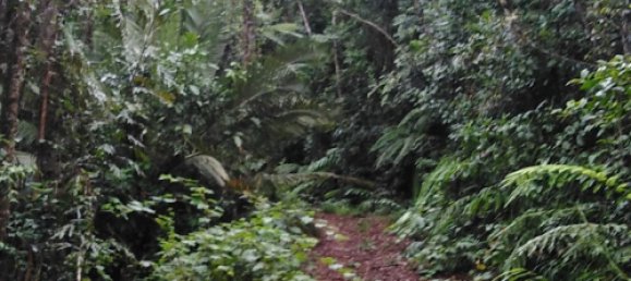 Земельный участок 602600м² в Ellinjaa, Австралия № 890 15