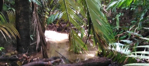 Земельный участок 602600м² в Ellinjaa, Австралия № 890 2