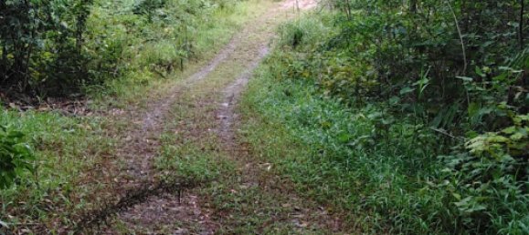 Земельный участок 602600м² в Ellinjaa, Австралия № 890 17