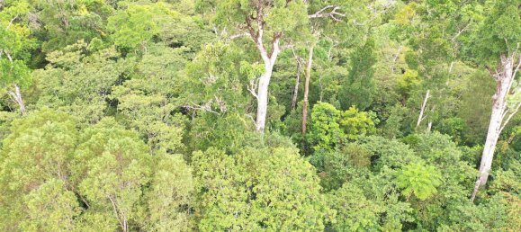 Земельный участок 602600м² в Ellinjaa, Австралия № 890 30