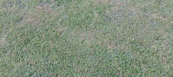 Земельный участок в Ивелин, Франция № 360978 3