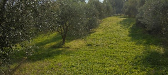 Grundstück in Ostra, Italy 14850m², Nr. 255015 3