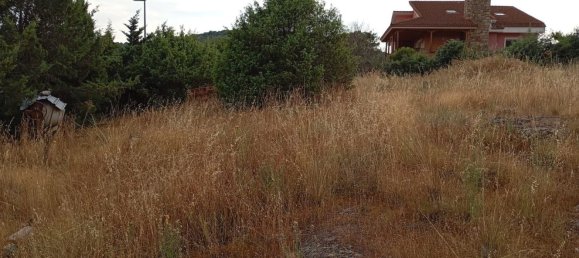 Grundstück in Robledo de Chavela, Spain, Nr. 161869 18