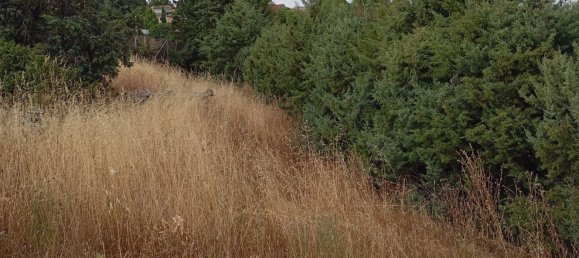 Grundstück in Robledo de Chavela, Spain, Nr. 161869 24