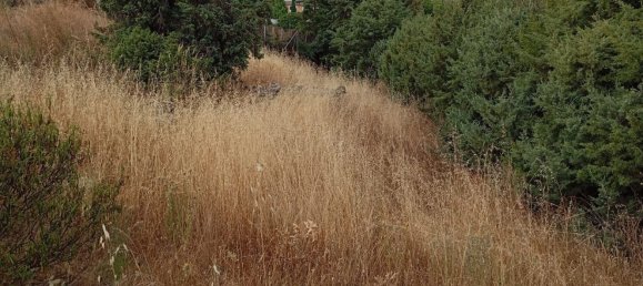 Grundstück in Robledo de Chavela, Spain, Nr. 161869 13