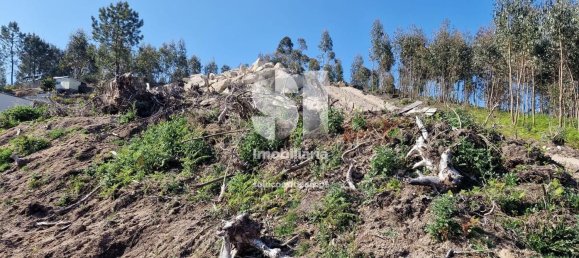 2025m² Land in Rebordosa, Portugal No. 81591 12