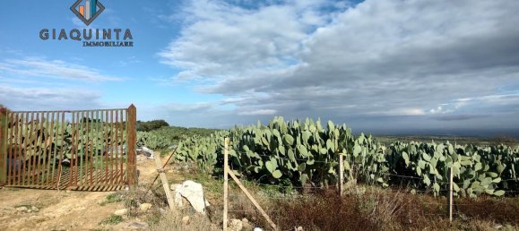 25000m² Land in Militello in Val di Catania, Italy No. 234847 4