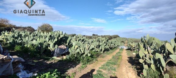 25000m² Land in Militello in Val di Catania, Italy No. 234847 3