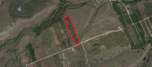 25000m² Land in Militello in Val di Catania, Italy No. 234847 2
