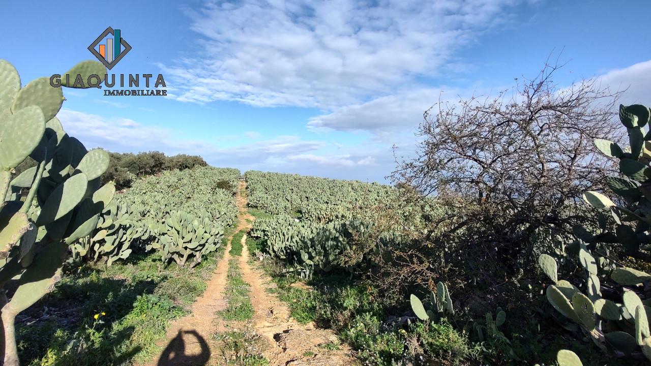 25000m² Land in Militello in Val di Catania, Italy No. 234847