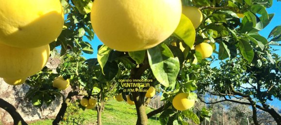 9-salle Villa à Sanremo, Italy No. 36425 17