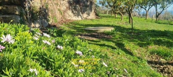 9-salle Villa à Sanremo, Italy No. 36425 3