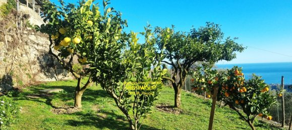 9-salle Villa à Sanremo, Italy No. 36425 14