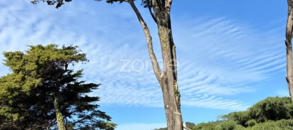 7 Schlafzimmer Haus in Sintra, Portugal, Nr. 97730 12