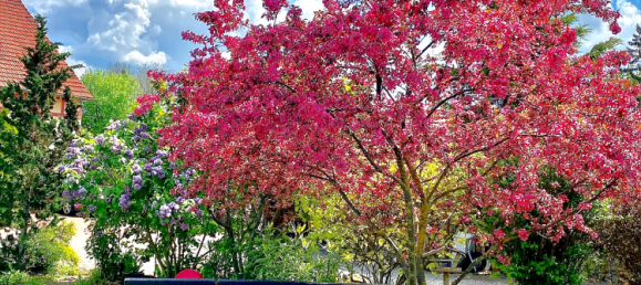 5غرفة منزل في Ilm-Kreis, Germany رقم 330560 6