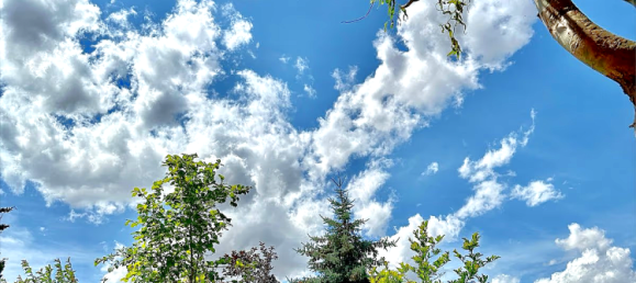 5غرفة منزل في Ilm-Kreis, Germany رقم 330560 7