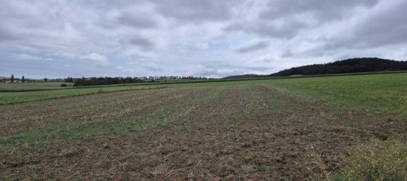 Terrain à Boheimkirchen, Austria 4832m² No. 103173 4