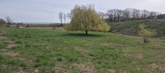 Terrain à Boheimkirchen, Austria 4832m² No. 103173 11