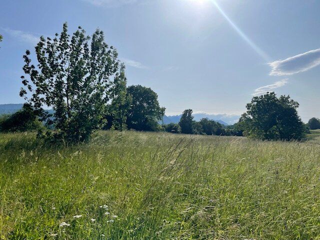  قطعة أرض في Feistritz im Rosental, Austria رقم 128808