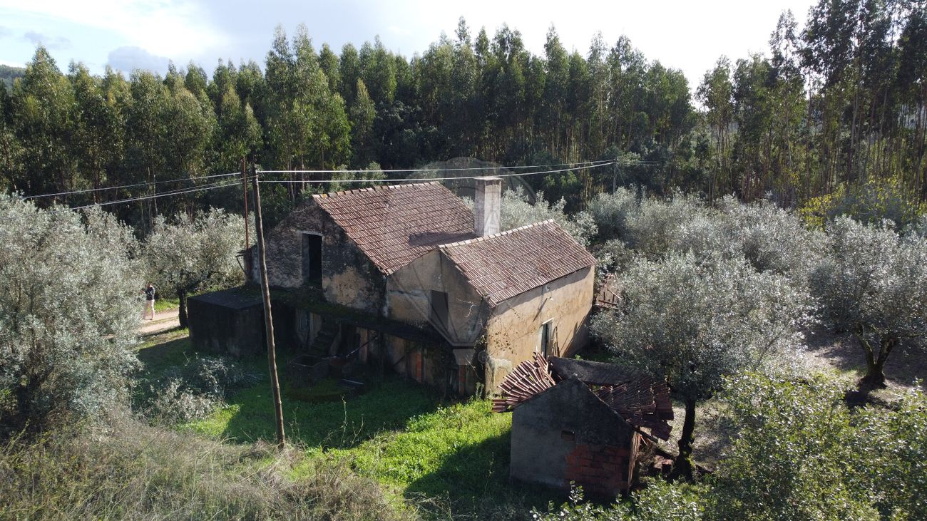 3 Schlafzimmer Haus in Ferreira do Zezere, Portugal, Nr. 17547
