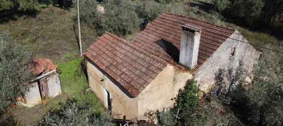 3 Schlafzimmer Haus in Ferreira do Zezere, Portugal, Nr. 17547 8