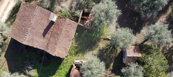 3 Schlafzimmer Haus in Ferreira do Zezere, Portugal, Nr. 17547 11