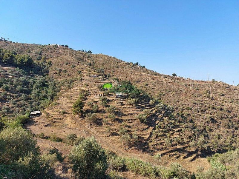 19000m² Land in Sayalonga, Spain No. 221945