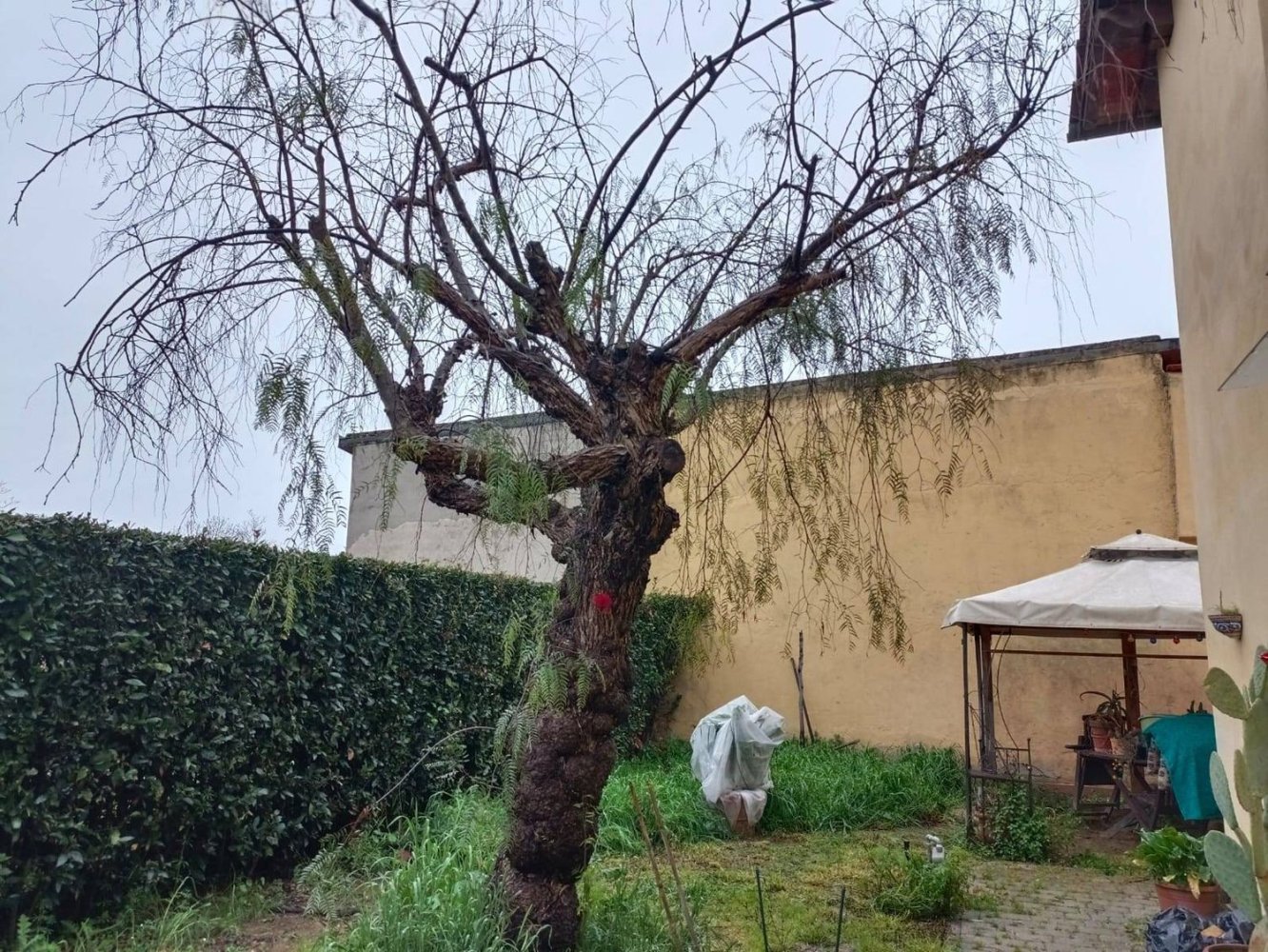 Apartamento de 2 habitaciónes en Campi Bisenzio, Italy No. 49168