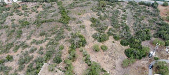 Grundstück in Ferreiras, Portugal 20060m², Nr. 59963 8