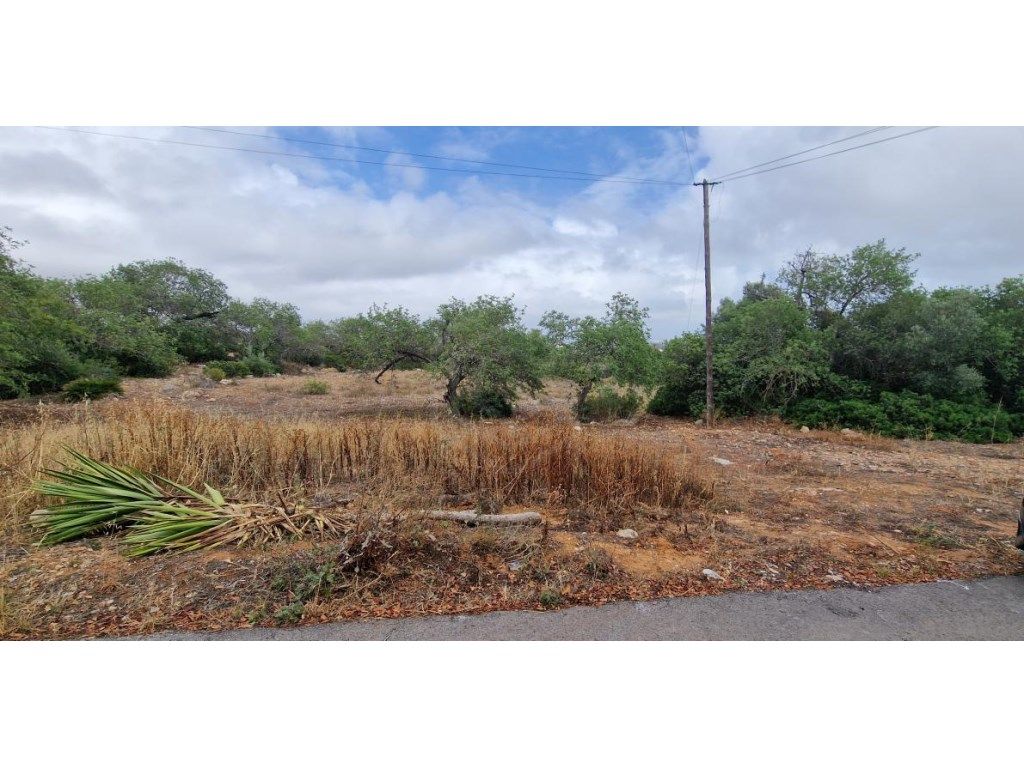 Grundstück in Ferreiras, Portugal 20060m², Nr. 59963