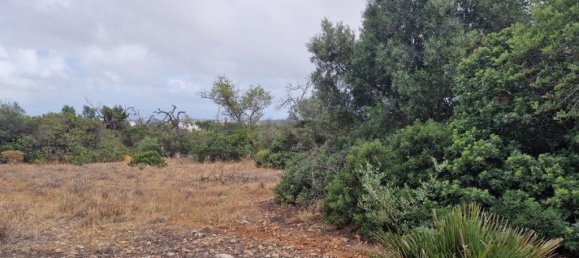 Grundstück in Ferreiras, Portugal 20060m², Nr. 59963 3