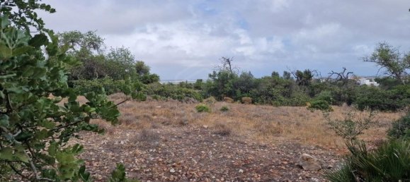 Grundstück in Ferreiras, Portugal 20060m², Nr. 59963 2