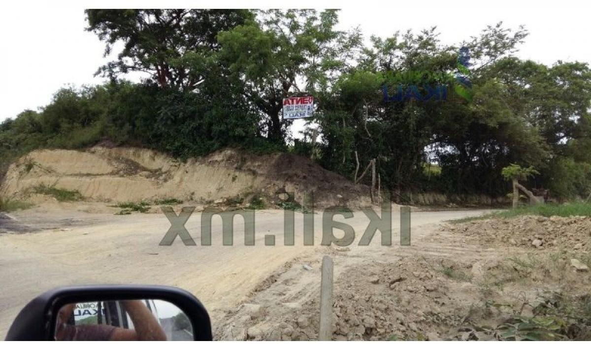  Land in Veracruz, Mexico No. 203012