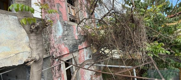 3 Schlafzimmer Haus in Funchal, Portugal, Nr. 301212 19