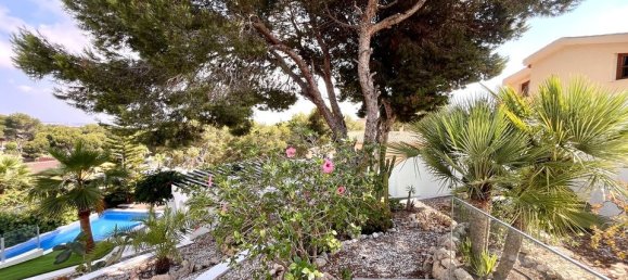 6 Schlafzimmer Villa in Torrevieja, Spain, Nr. 189235 31