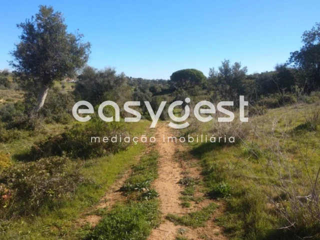  Land in Abrantes, Portugal No. 64833