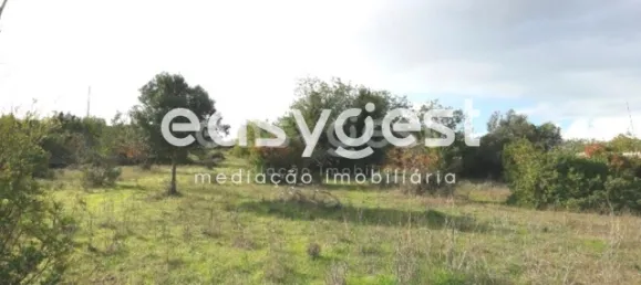  Land in Abrantes, Portugal No. 64833 4