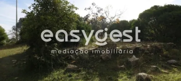  Land in Abrantes, Portugal No. 64833 2