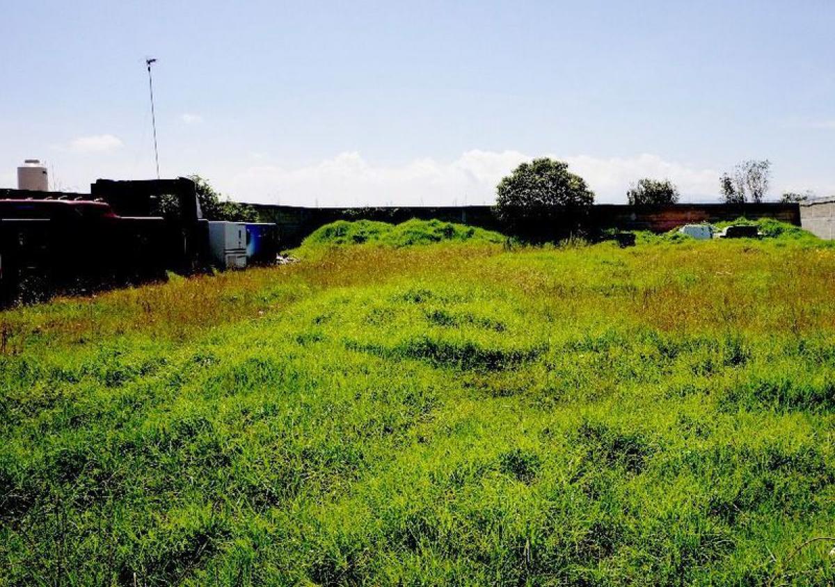 Terreno em Polotitlan de la Ilustracion, Mexico N.º 207025